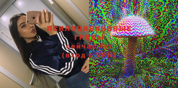 соль курить ск Горно-Алтайск