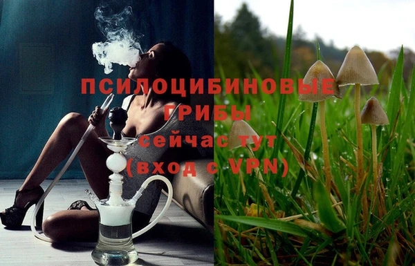 mix Горнозаводск